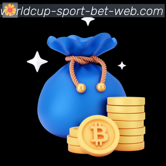 2026世界杯投注入口荣誉